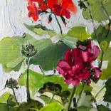Geranium mini by Elena Hromova
