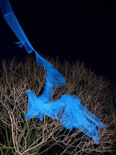 Original Conceptual Nature Photography by Aleks Faust