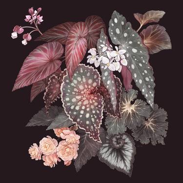 Original Illustration Floral Digital by Jessica Warrick