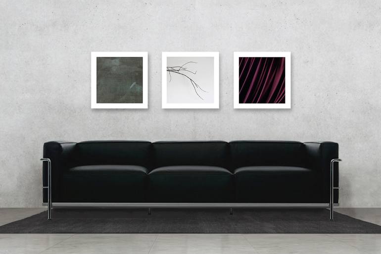 Original Abstract Nature Photography by Scott Woodward Meyers