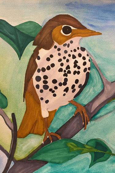 Wood Thrush thumb