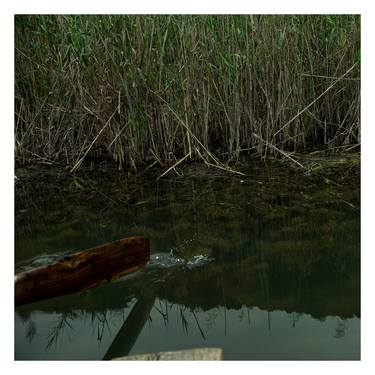 Print of Boat Photography by Thai Dong