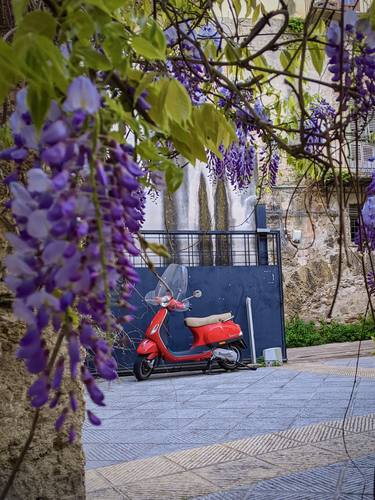 Courtyard with wisteria and red scooter thumb