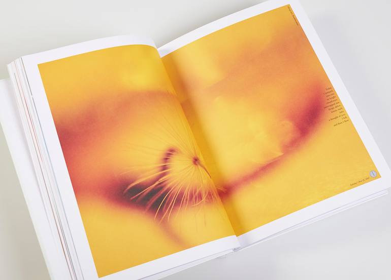 Original Conceptual Abstract Photography by Francis George