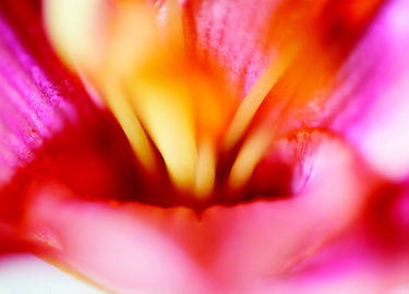 Print of Abstract Love Photography by francis george