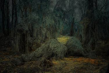 Original Abstract Fantasy Photography by Michelle Blancke