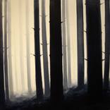 Collection The Woods..