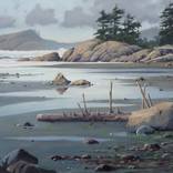 The Wet Coast by Keith  Hiscock