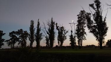 Original Conceptual Nature Photography by Juan Martín Argente