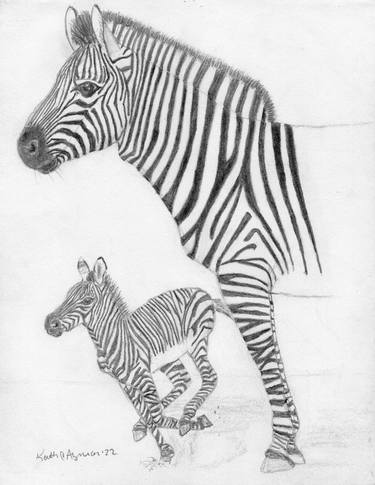 Original Realism Animal Drawings by Keith Aymar