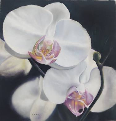 Original Fine Art Floral Paintings by Kelly Miller