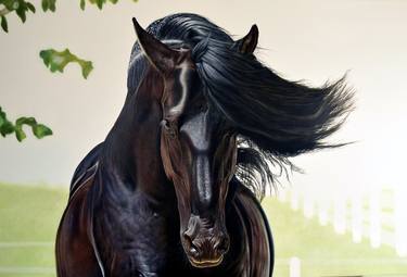 Black Horse Aramis thumb