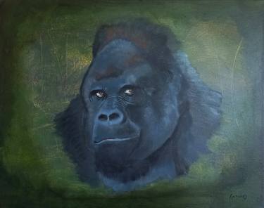 Original Animal Paintings by Anton Oosthuizen