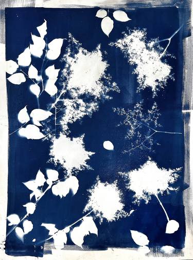 Original Floral Printmaking by Laurie Buman