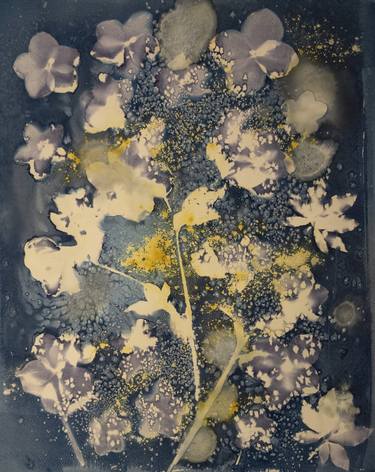 Original Contemporary Nature Printmaking by Laurie Buman