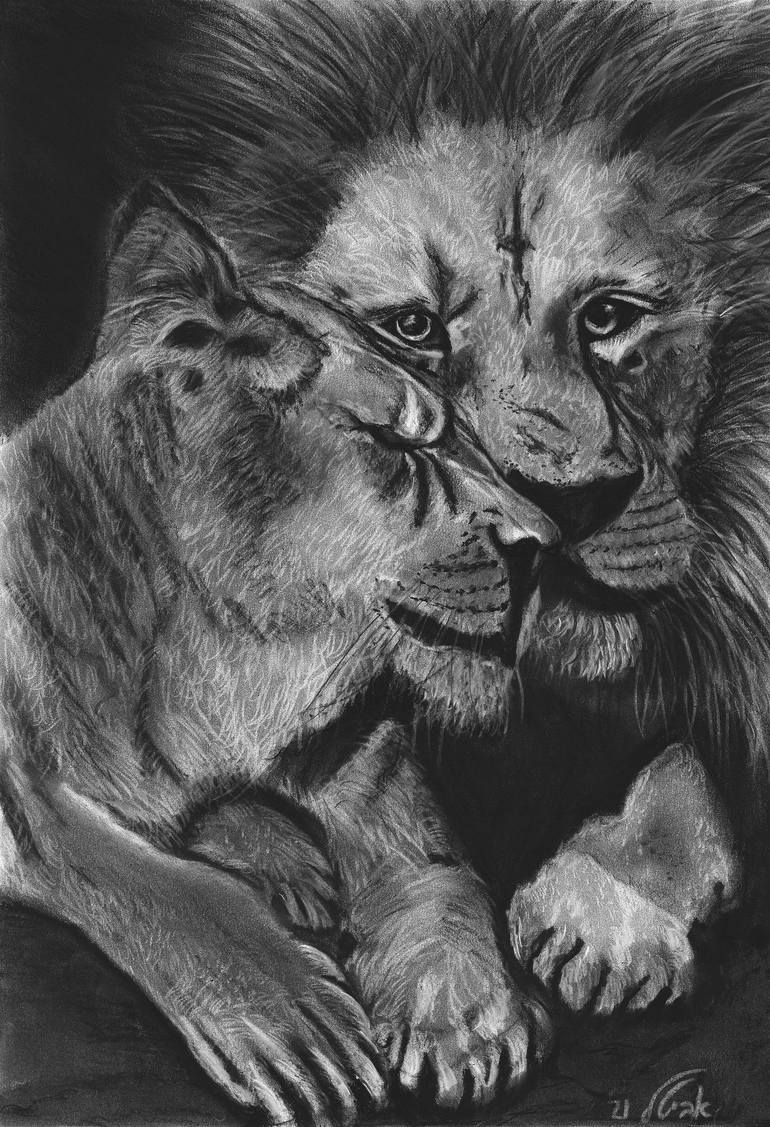 Print of Contemporary Animal Drawing by AVITAL LANG