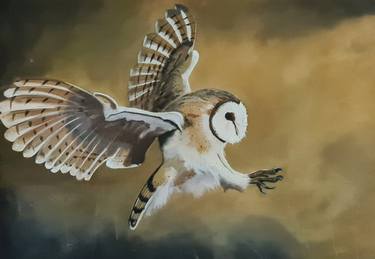 "Owl on the Prowl" thumb