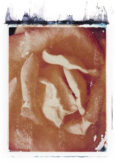Print of Abstract Floral Photography by Rudy Hellmann