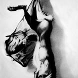 hare n°5 by enrico salvadori