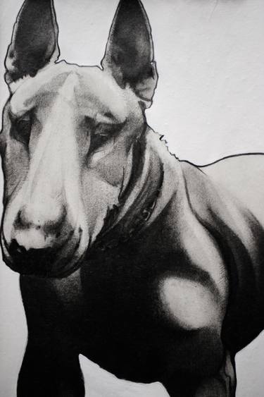 Original Figurative Dogs Drawings by enrico salvadori