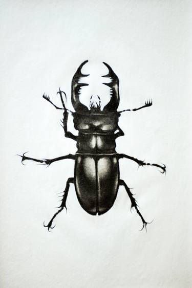 stag beetle thumb