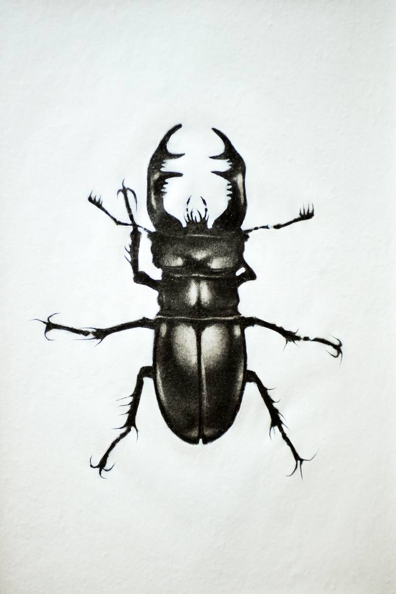stag beetle Drawing by enrico salvadori Saatchi Art