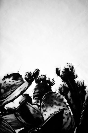 cactus 2 thumb
