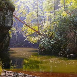 Collection Water, river, forest stream oil paintings on canvas