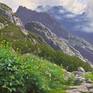 Collection Mountains oil paintings on canvas