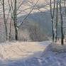 Collection Winter landscape and nature oil paintings on canvas