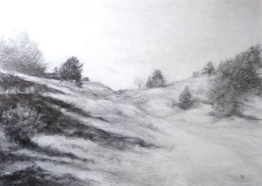 Original Fine Art Landscape Drawing by Francis Aracil