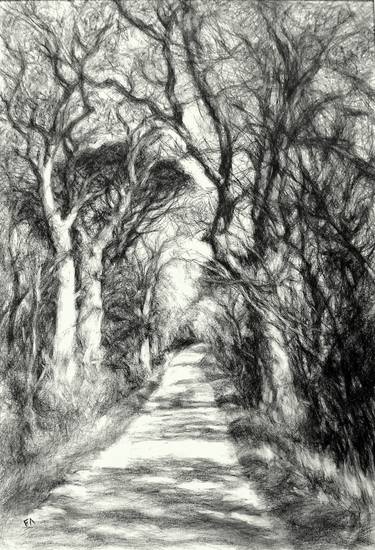 Original Figurative Nature Drawing by Francis Aracil