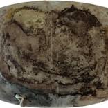 Collection The Other Art Fair Dallas (Spring 2023)