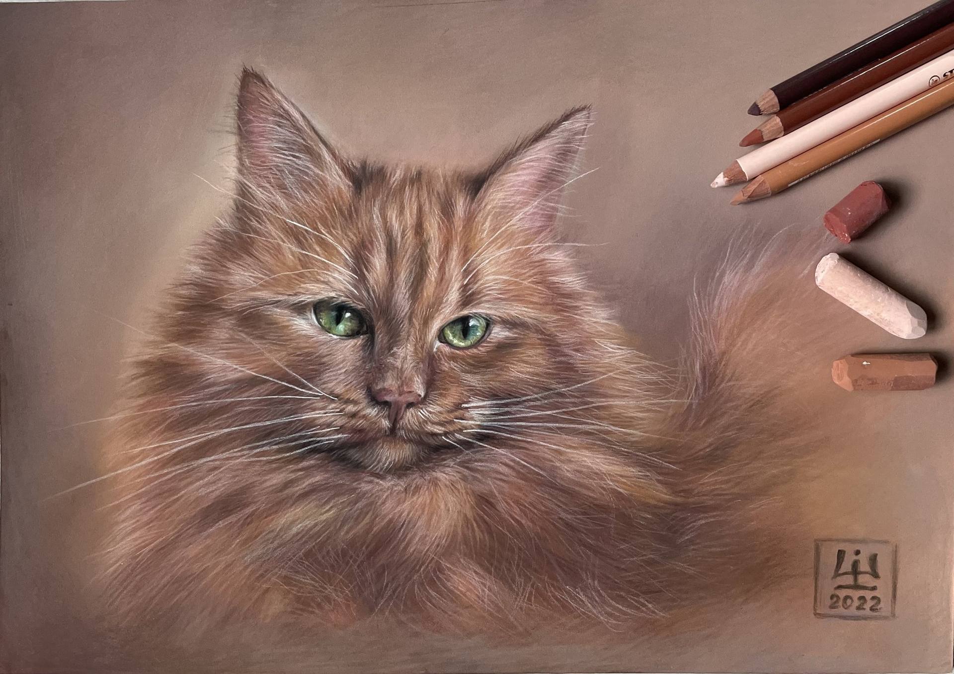 realistic cat drawing color