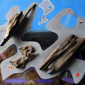Collection Assemblages and Collages