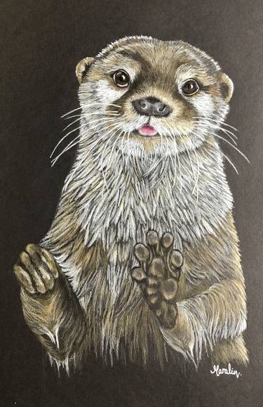 Original Realism Animal Drawings by Maralin Cottenham