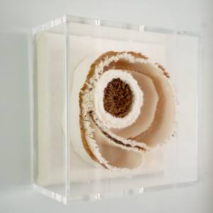 Torn Ribbon 6x6 (Solstice))