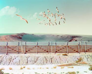 Original Conceptual Landscape Photography by Horacio Devoto