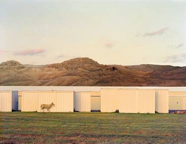 Original Conceptual Landscape Photography by Horacio Devoto