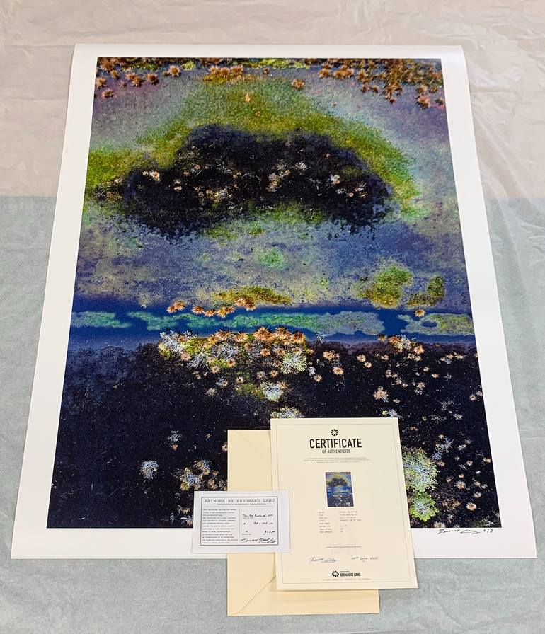 Original Abstract Other Photography by Bernhard Lang