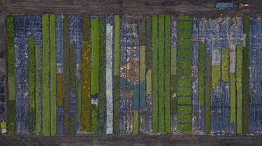 Original Abstract Aerial Photography by Bernhard Lang