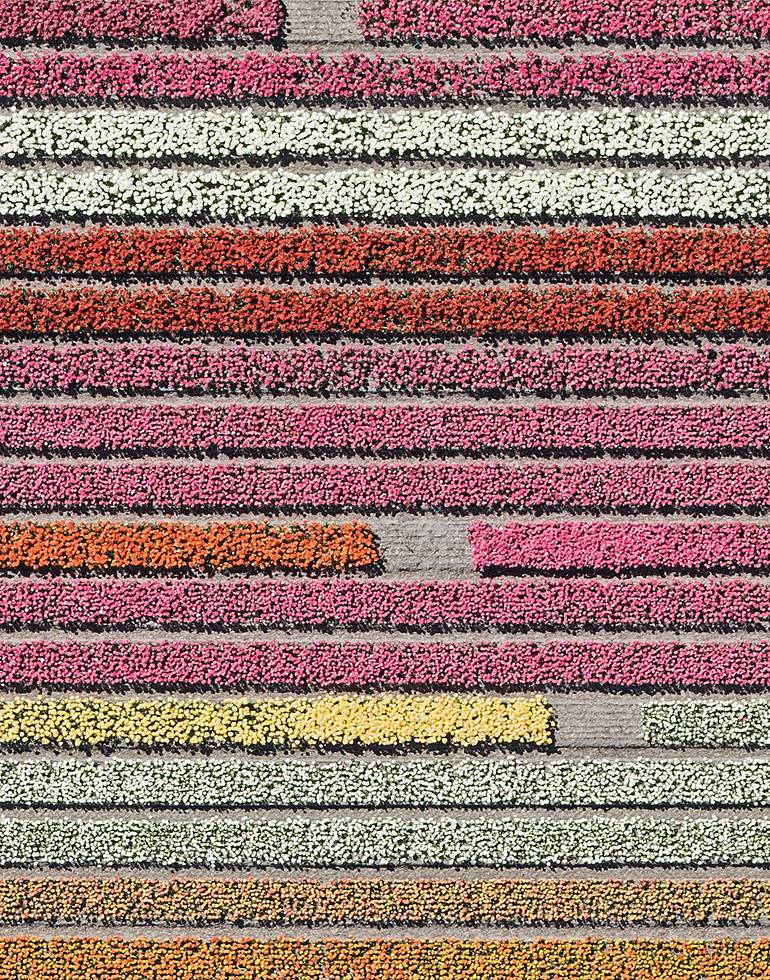 Original Abstract Other Photography by Bernhard Lang