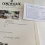 Example of Certificate of Authenticty
