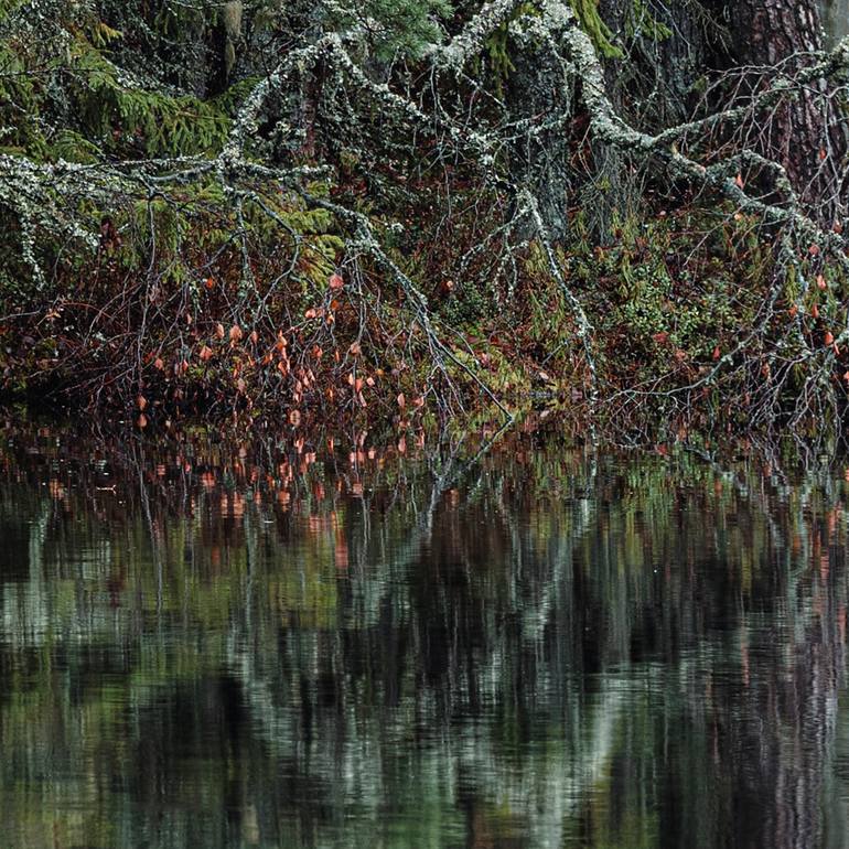 Original Contemporary Landscape Photography by Bernhard Lang