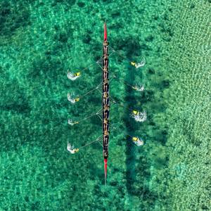 Collection Art for the New Homeowner