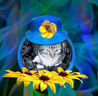 Print of Photorealism Cats Photography by Barbara Schar