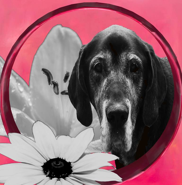 Print of Photorealism Dogs Photography by Barbara Schar