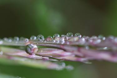 Print of Minimalism Water Photography by Barbara Schar