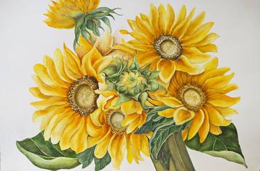 Original Fine Art Botanic Drawings by Maryana Chistol