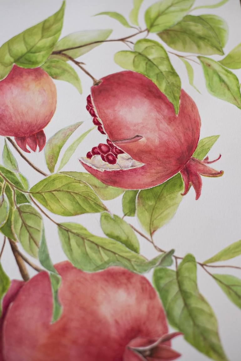 Original Floral Drawing by Maryana Chistol